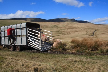 River fluke farming by Hannah Rose Vineer